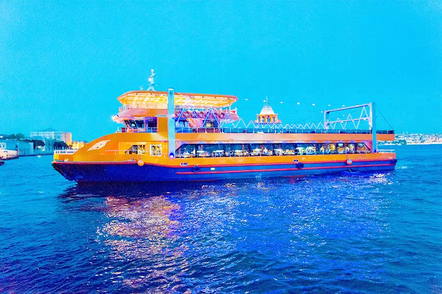 Bosphorus Dinner Cruise & Turkish Night 3
