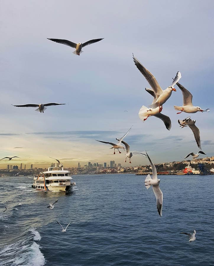 Istanbul Lunch Cruise